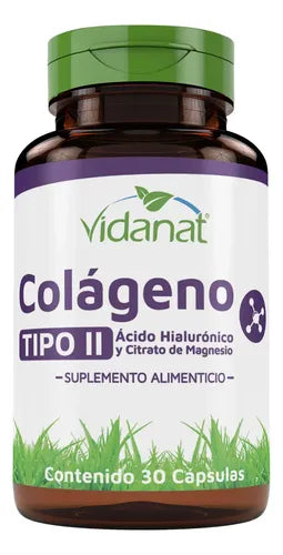 Colageno Tipo Ii Ácido Hialurónico Magnesio 30 Cáp Vidanat Sabor Sin Sabor
